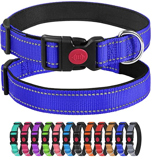 Adjustable Custom Nylon Pet Neoprene Padded Dog Collar