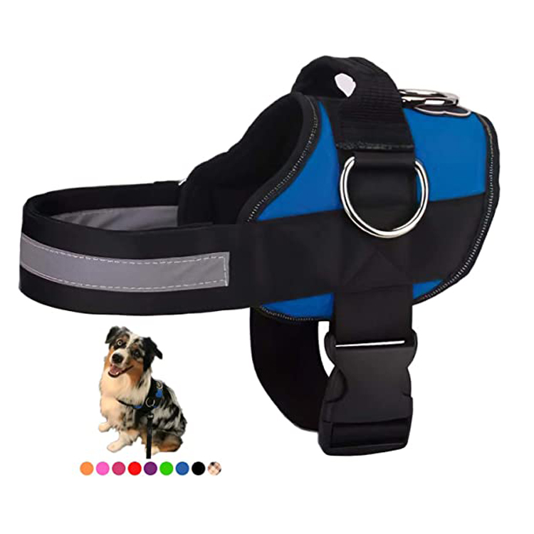 Dog Harness